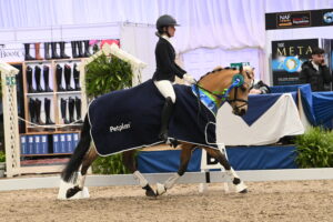 Lydia Holmes and Caramelle win the under-21 elementary bronze at the Petplan Winter Area Festival Championships.