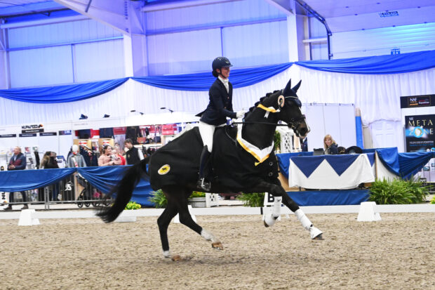Bryony Goodwin and Krack DE win the Black Country Saddles advanced medium gold at the NAF Five Star Winter Dressage Championships.