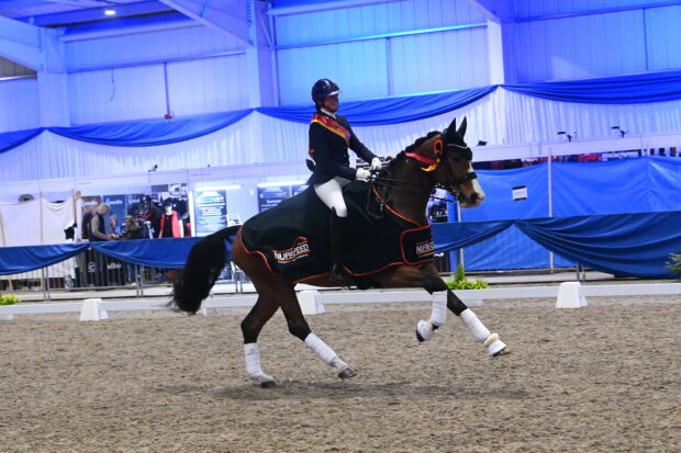Amy Hose and Enrique let loose in the prizegiving after winning the Nupafeed advanced medium silver at the NAF Five Star Winter Dressage Championships