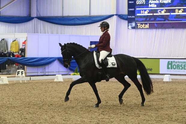 winter dressage championships