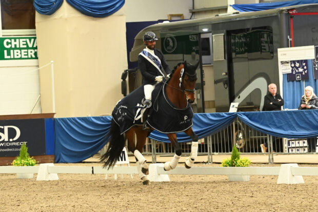 dannie morgan winter dressage championships