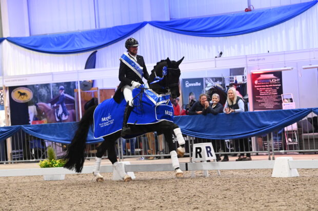 Matt Frost winter dressage championships