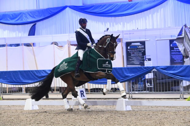 dannie morgan winter dressage championships