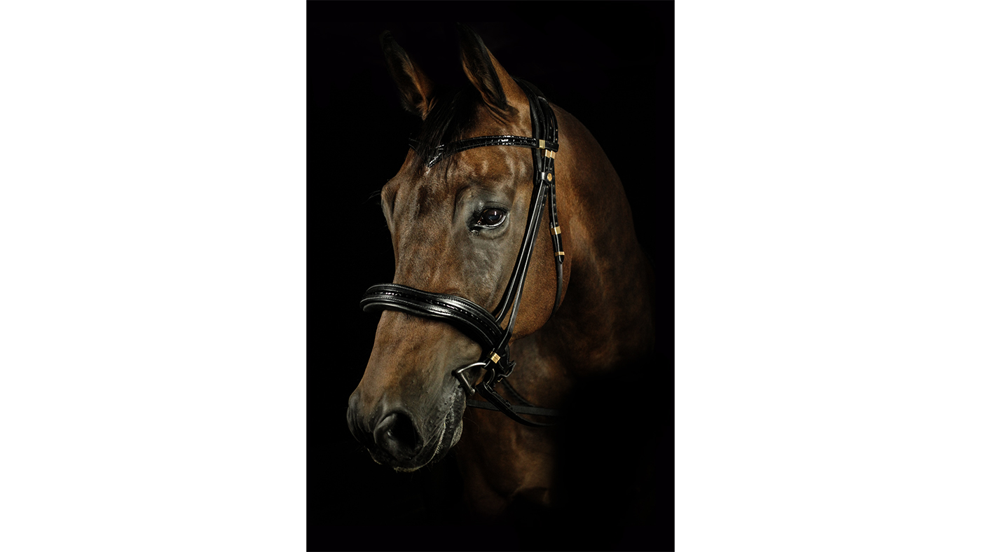 WOW FreeSpace Snaffle Bridle