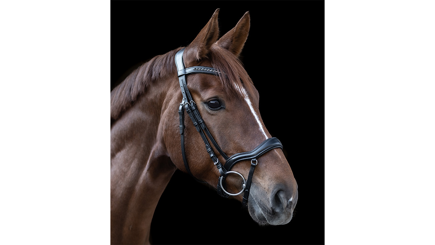 Waldhausen X-Line Bridle New Shape II