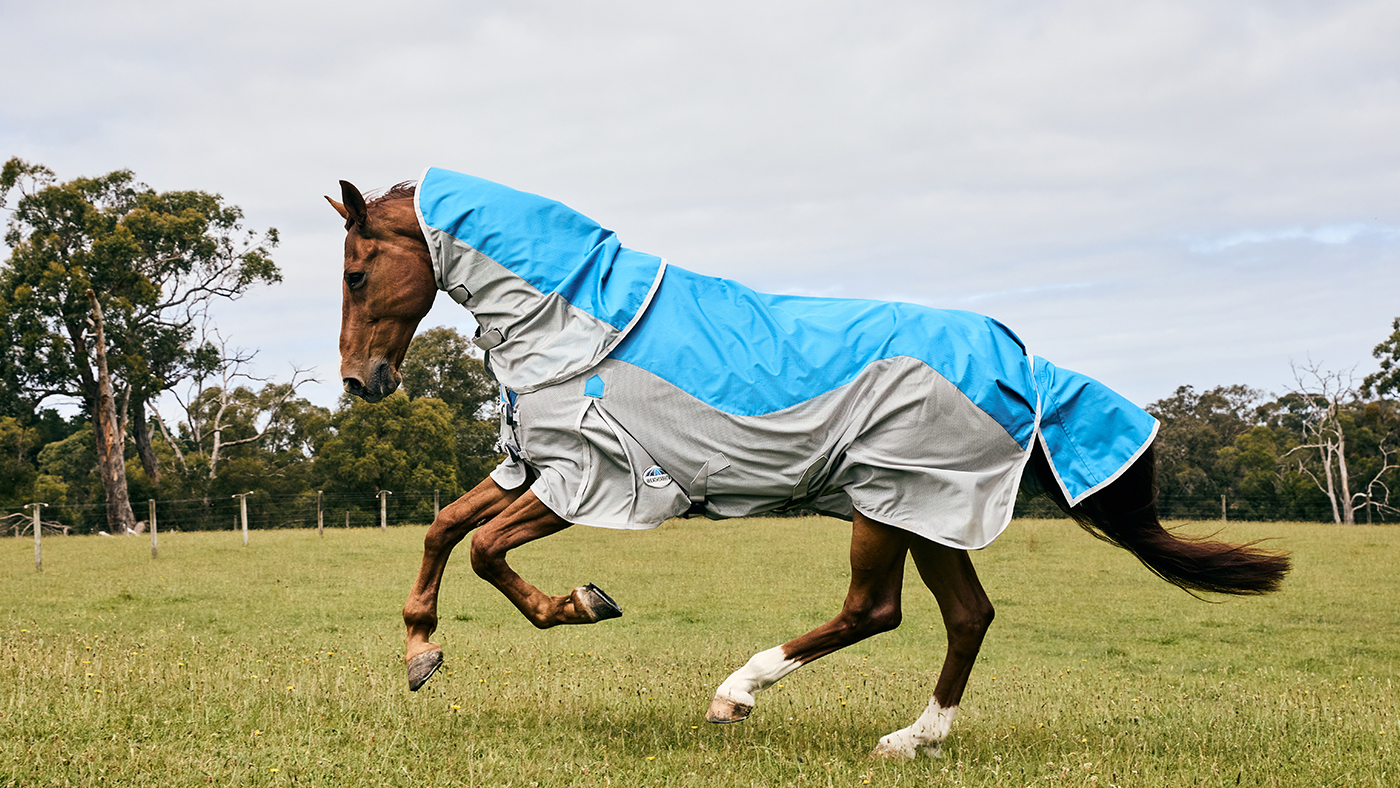 WeatherBeeta ComFiTec Dual Shield Detach-A-Neck waterproof fly rug