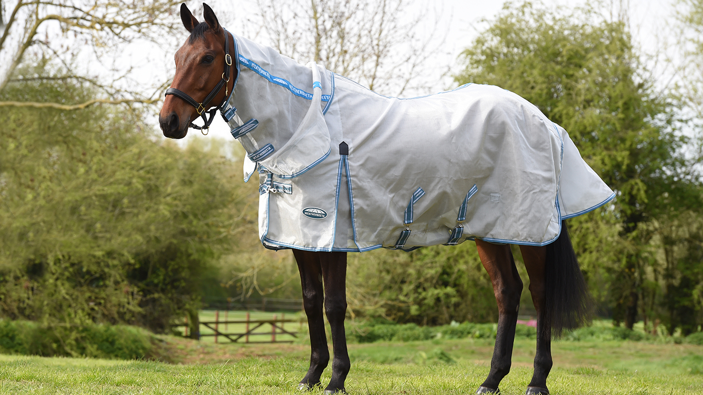 Weatherbeeta ComFiTec Hexi Shield Combo Neck fly rug
