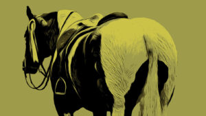 obese horse illustration; obesity in show horses