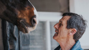 richard white horse and hound
