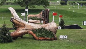 Badminton horse trials cross-country fence