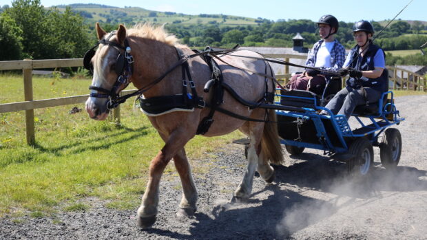 Clwyd Special Riding Centre has been given a lifeline to keep the gates open for now – but is in urgent need of more help.