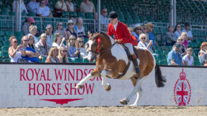 Will Morton and Bannview So Smart are crowned cob champions after this spectacular gallop.