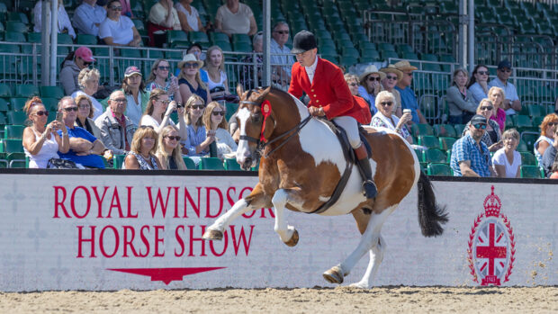 Will Morton and Bannview So Smart are crowned cob champions after this spectacular gallop.