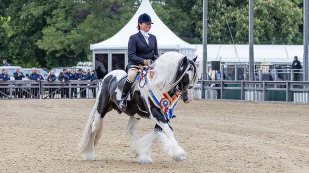 Vicky Smith and Chynas Top Deck wear their champion sashes on their lap of honour in the Castle Arena at Royal Windsor Horse Show