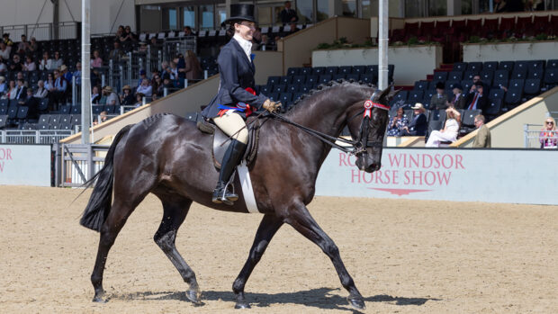 Isabella Mears Wood and Forgeland Hyde Park were crowned hack champions at Royal Windsor Horse Show