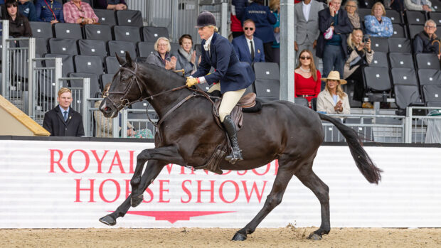 Katy Green gallops to glory in the working hunter classes at Royal Windsor Horse Show, riding her own 16-year-old mare Vulcanite