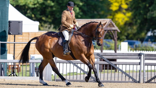 Robert Walker and Greenhall Treasure Island win the LeMieux Middeleweight Hunter at The Royal Windsor Horse Show 2025.