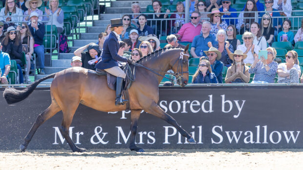 Jayne Ross and Ladies Man win the riding horse championship at Royal Windsor Horse Show
