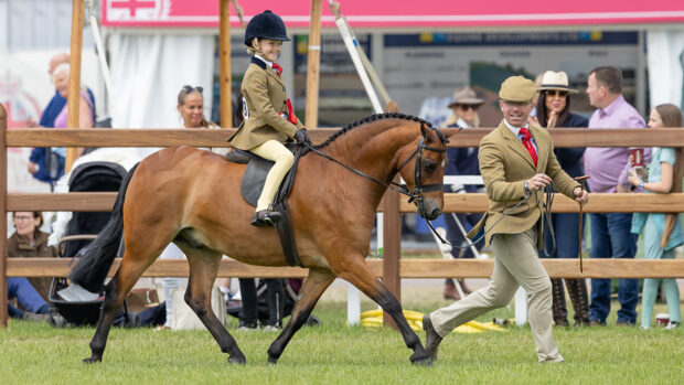 Newoak Midnight Blue, led by Adam Forster and ridden by Violet Mennie takes the mini championship at Royal Windsor Horse Show