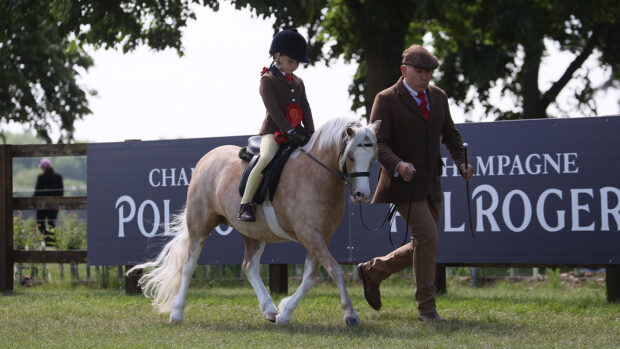 Simon Constable leads his daughter Zara on Glyncoch Honey Pot to victory in both the open mini Mountain and Moorland (M&M) and the Pretty Polly (home-produced) championships at Royal Windsor Horse Show