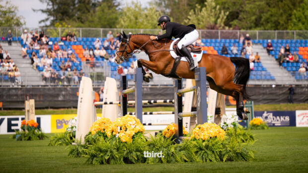 Pictured Charlie Jones and Capital 6.