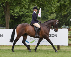 Hannah Horton impresses the judges with Migration at Royal Windsor to stand RoR ridden champion