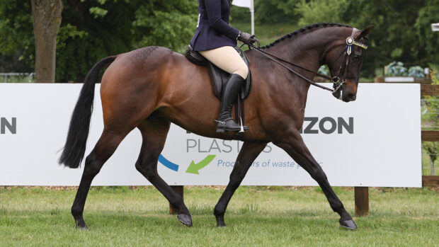 Hannah Horton riding Migration at Royal Windsor