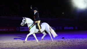 Glebedale Mumbo Jumbo, bred by the Glebedale Stud