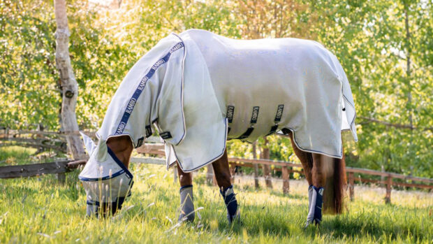 Horseware Rambo fly rug and boots