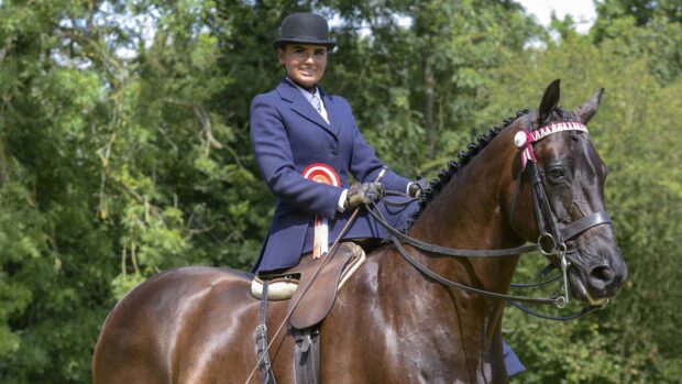 Close up of side-saddle horse