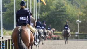 Training for the go-round in showing is vital for making a great first impression on the judges.