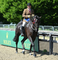 Robert Walker riding novice hunter winner Kief Dreamcatcher at Royal Windsor Horse Show