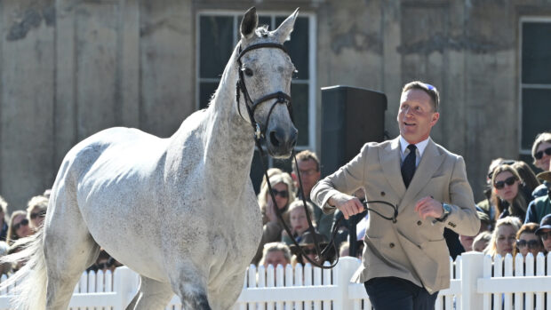 Oliver Townend and Cooley Rosalent at the Badminton Horse Trials final trot-up.