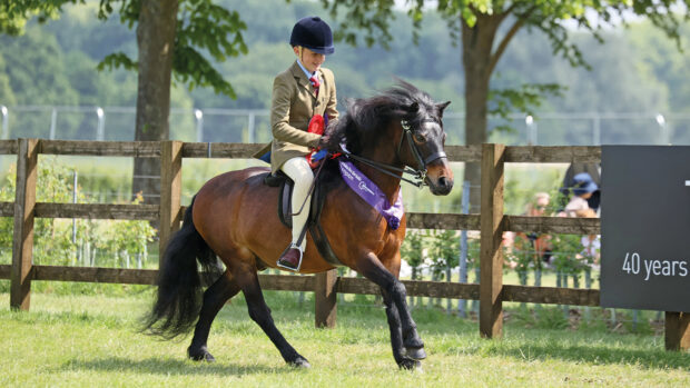 Pumphill Fandango takes the ridden senior title at Royal Windsor Horse Show.