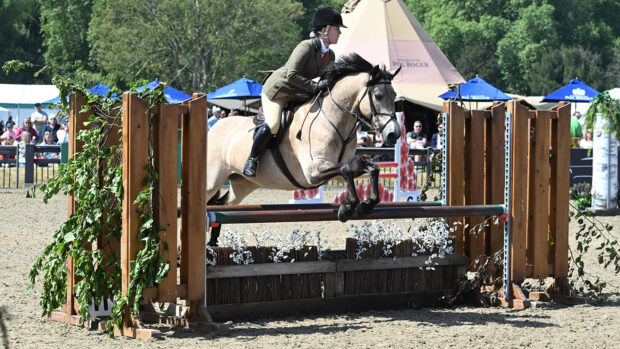 Ruby Ward rides Lady Dublin of Corderry to be crowned M&M working hunter pony champions