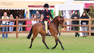 Izzy Walker riding the winner of the 138cm novice show pony class, Helen Davies’ Wadacre Tigger, who went on to stand novice show pony champion at Royal Windsor Horse Show