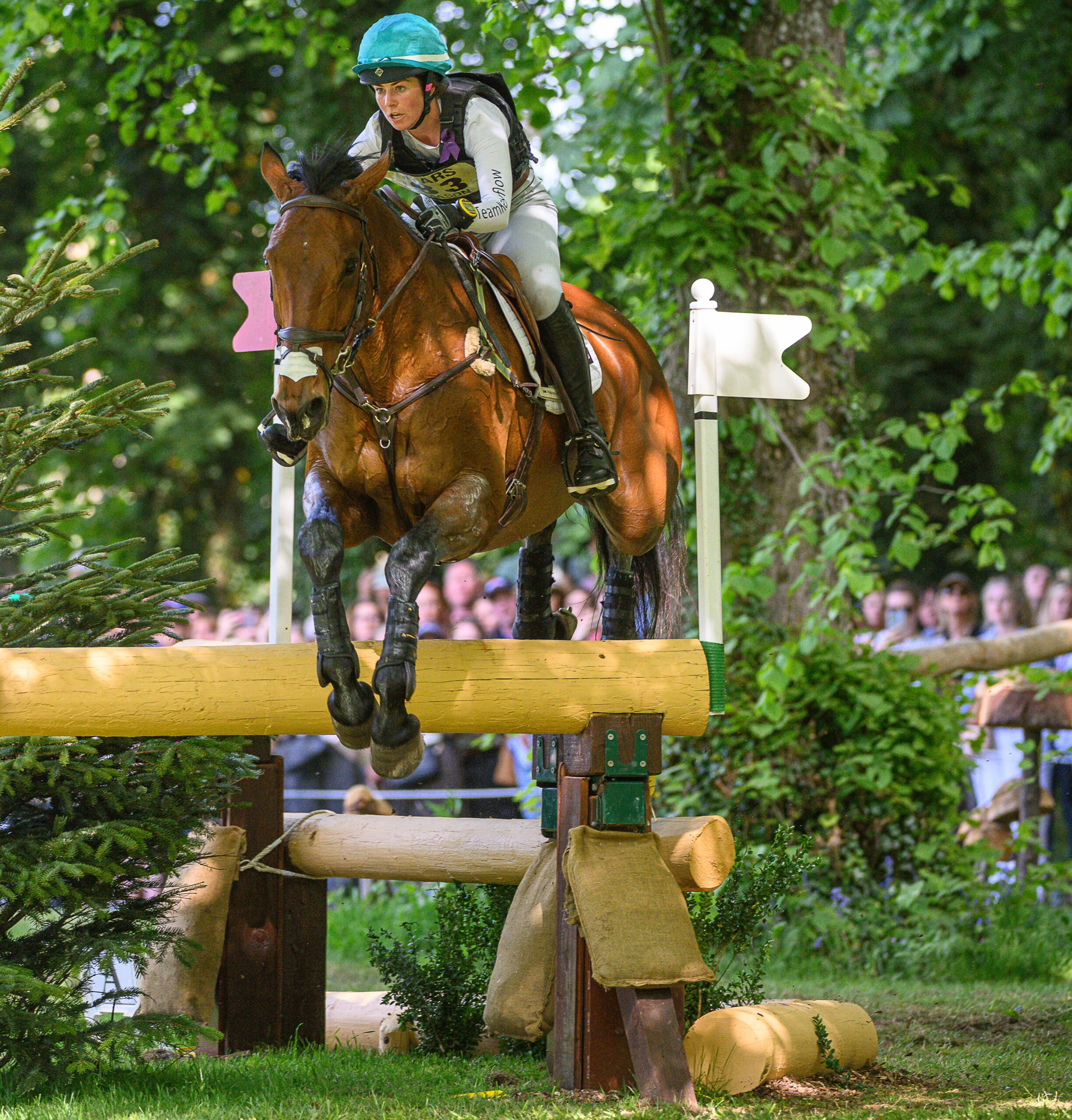 Badminton Horse Trials special prizes: Tayla Mason and Centennial