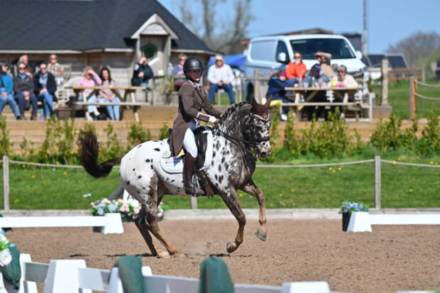 Naomi Aguilar and Whitehawk Dancing Fire (Enzo) in the grand prix freestyle at Chard Premier League.