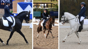 non-warmbloods winter dressage championships