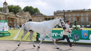 Bramham Horse Trials first trot-up: Austin O’Connor and Ventura Rock