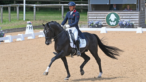 Andrew Gould and Indigro at Wellington CDI as the race for British dressage team selection for this summer's European Championships hots up