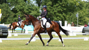 Piggy March and MCS Maverick in the 2025 Bramham Horse Trials dressage.