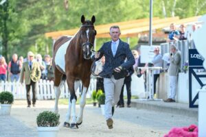 Luhmühlen Horse Trials trot-up