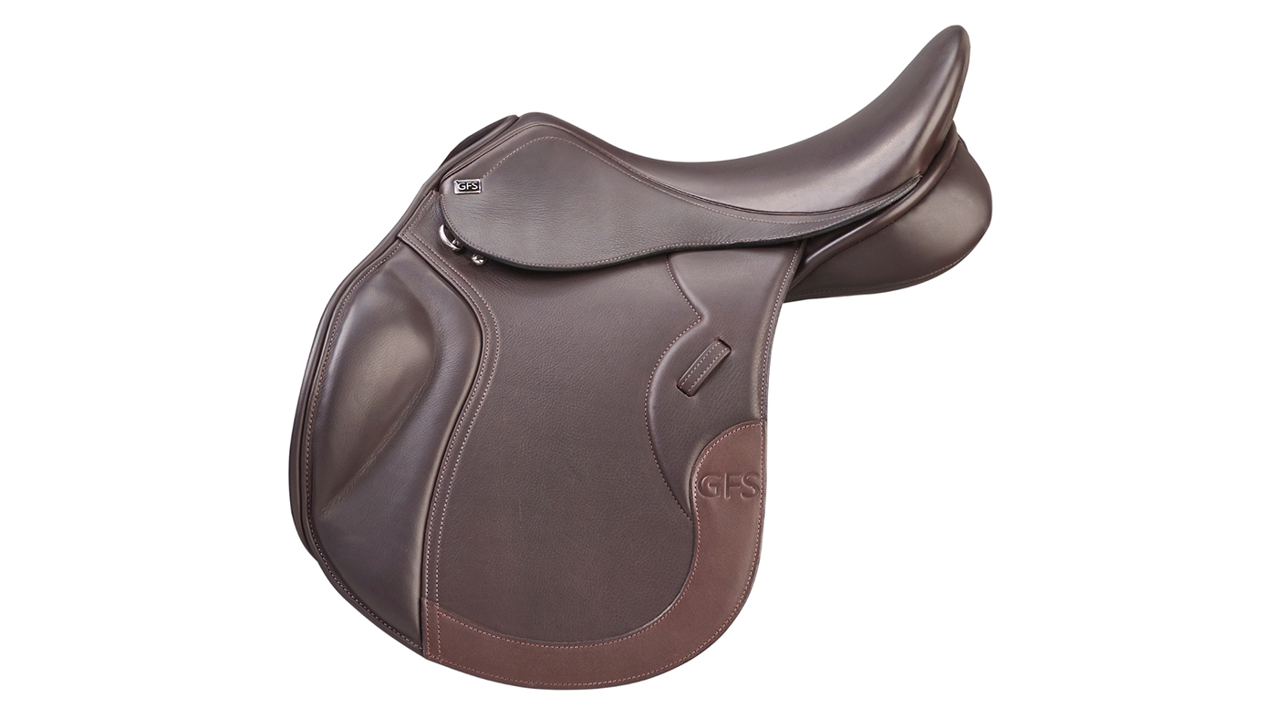 GFS Transition GP Saddle