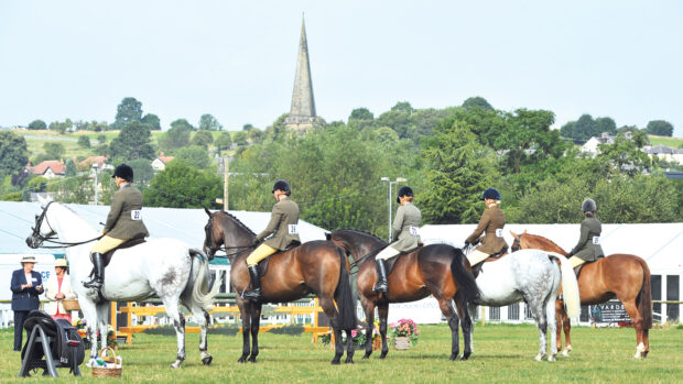 A line up of show hunters at a summer outdoor show in front of marquees and with a church steeple in the distance
