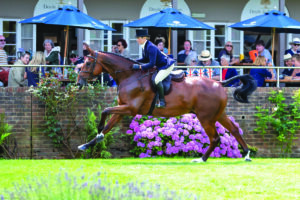 Working hunter Royal International RIHS 2024 workers winner Kalani K and rider Amy Tough gallop in the main arena at Hickstead