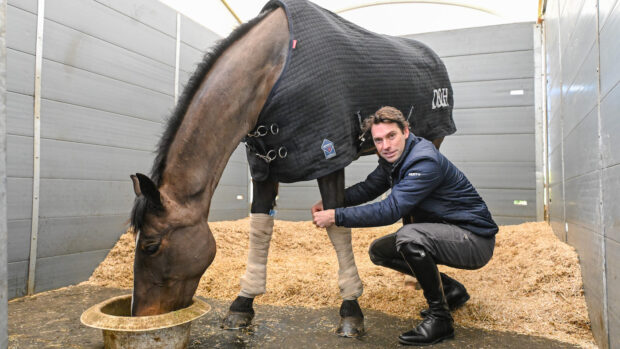 Harry Meade bandaging a horse's legs in a stable