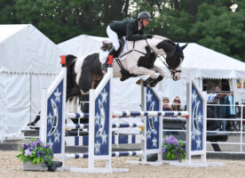 Anthony Condon and High Offley The Colour Of Money