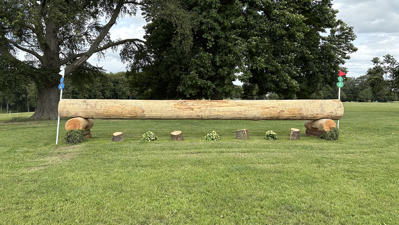 Bramham Horse Trials cross-country course 2025: fence 13a long route