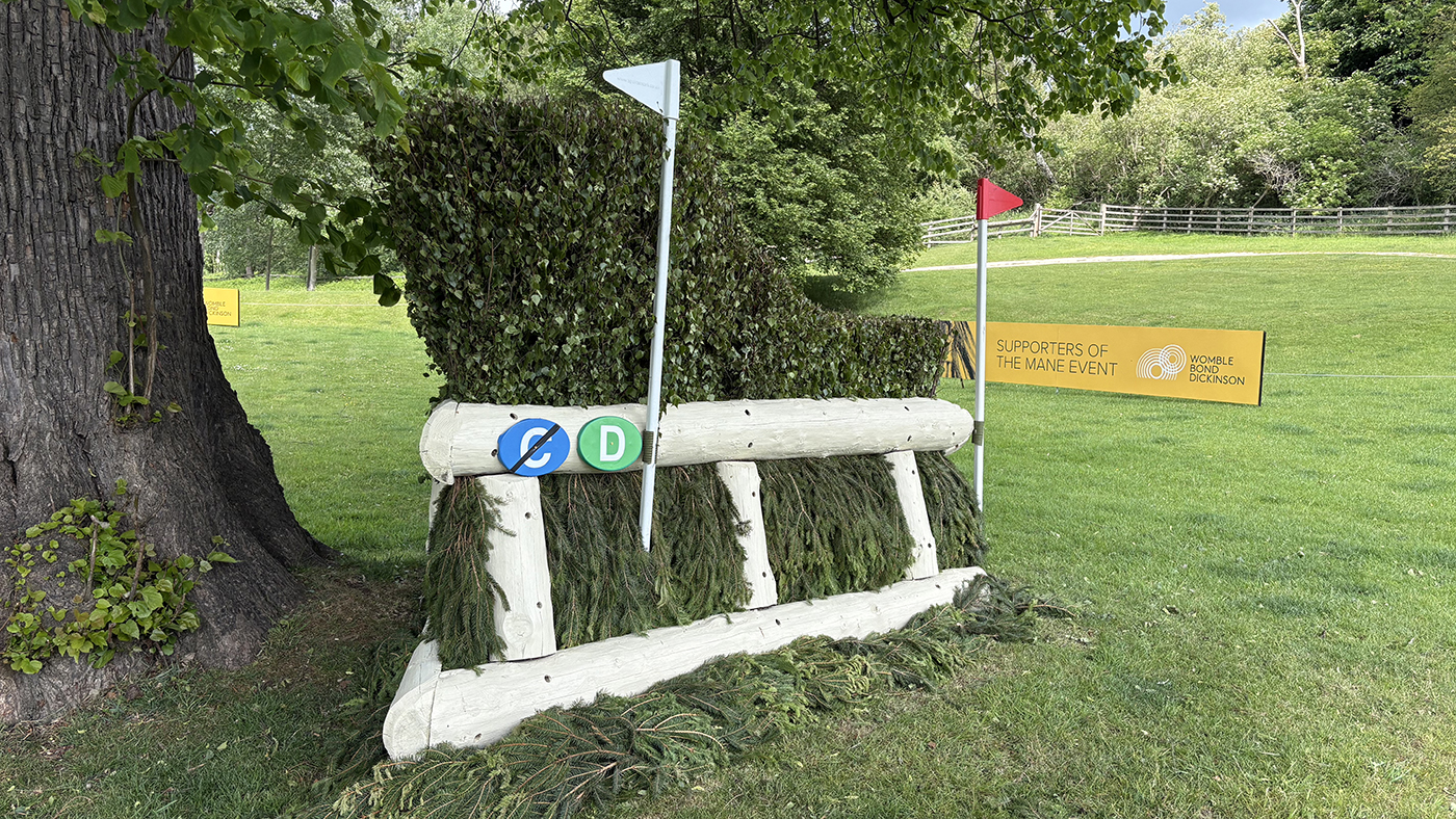 Bramham Horse Trials cross-country course 2025: fence 19c long route